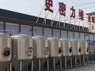 太仆寺精酿啤酒设备厂—如何判断精酿啤酒设备的密封件需要更换？
